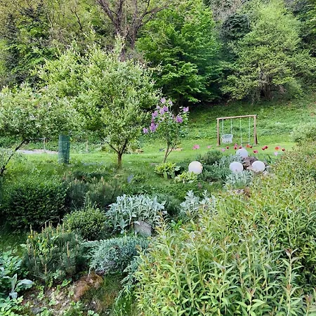 Liz Mari Near Terme Olimia
