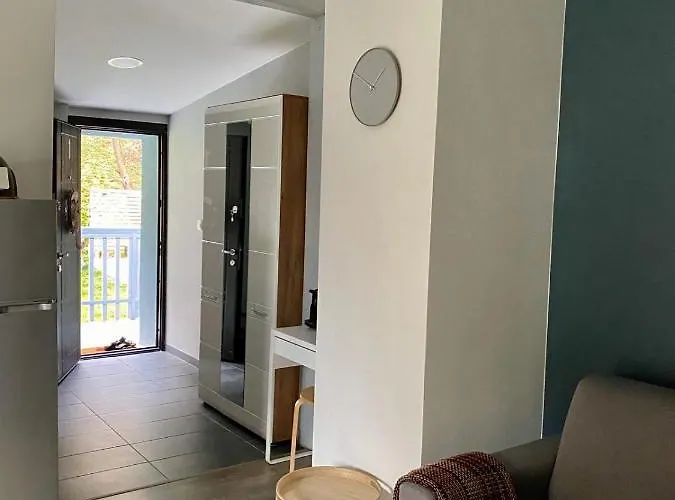 Lizmari * 포드체트르테크